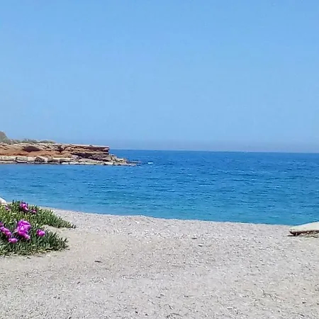 Primera Linea Playa Διαμέρισμα *